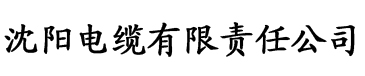 无码av国内精品不卡电缆厂logo